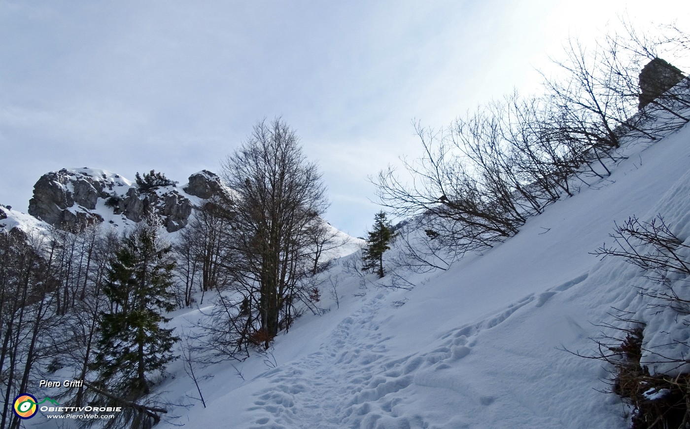 26 Ultimo strappo nel bosco per arrivare al Passo di Grialeggio.JPG -                                